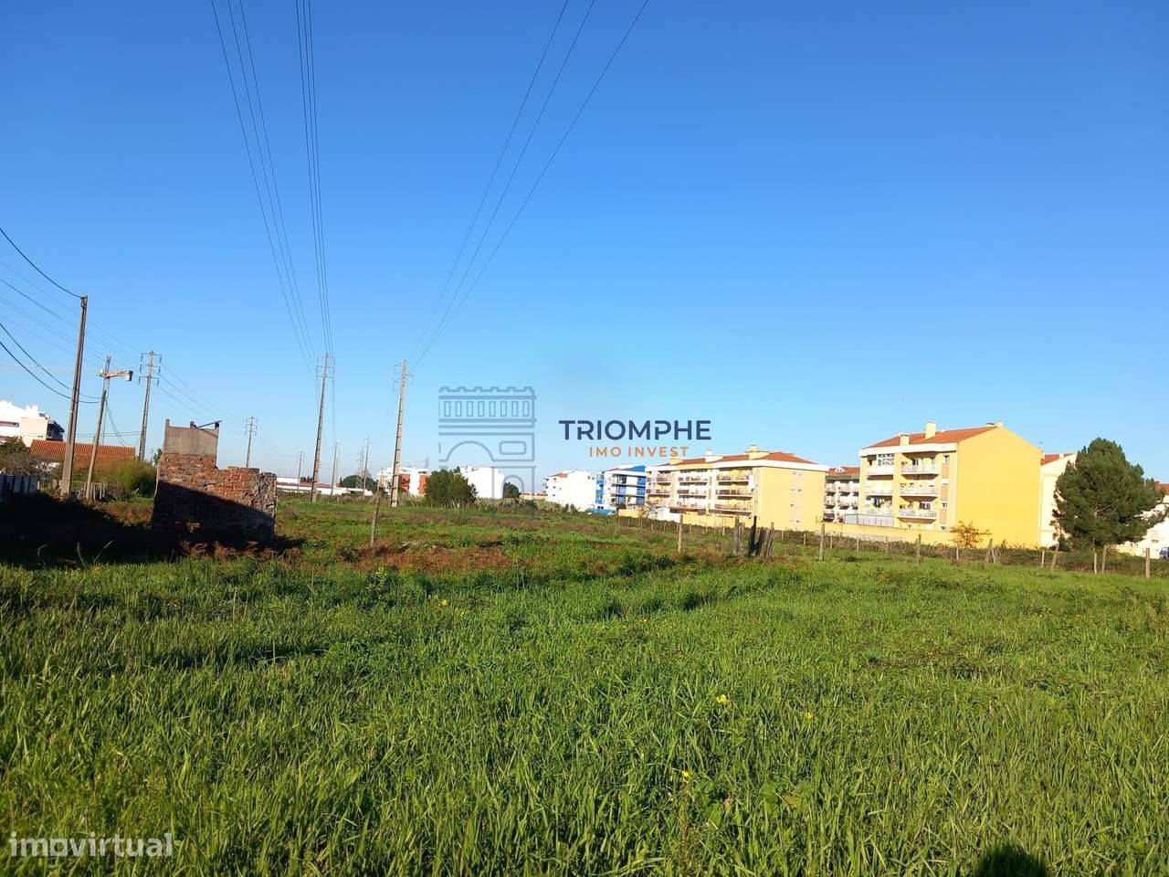 Terreno para construção 9.600m2 Marinha Grande - Grande imagem: 5/7