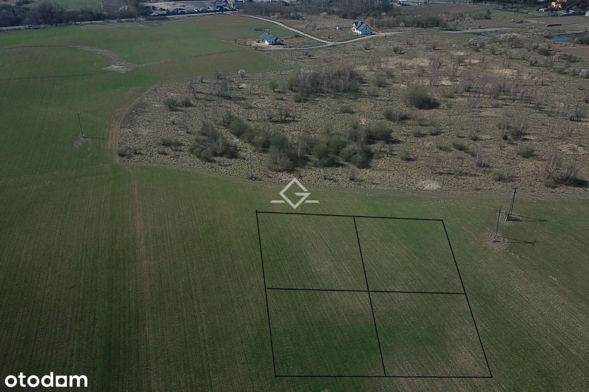 blisko lasy i jeziora - Pełny obrazek: 4/4