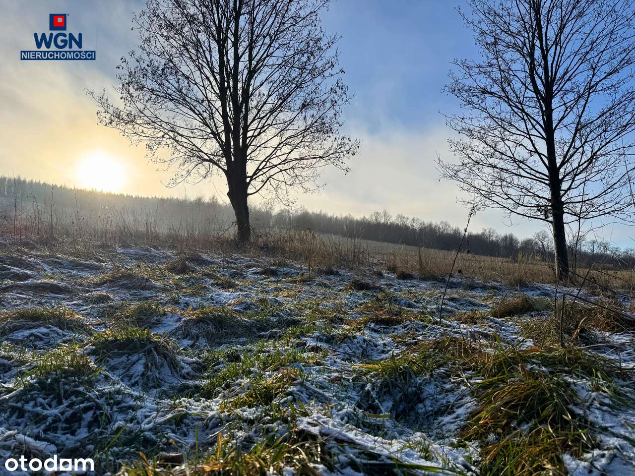 Działka budowlana z pięknymi widokami pod lasem.-4