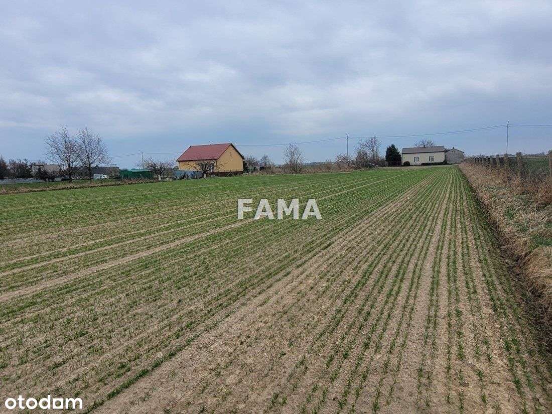 Działka 8400 mkw, Kowal, ul. Kopernika - Pełny obrazek: 4/4