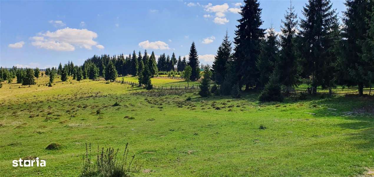 Oportunitare | Teren 1ha cu PUZ | Belis-2