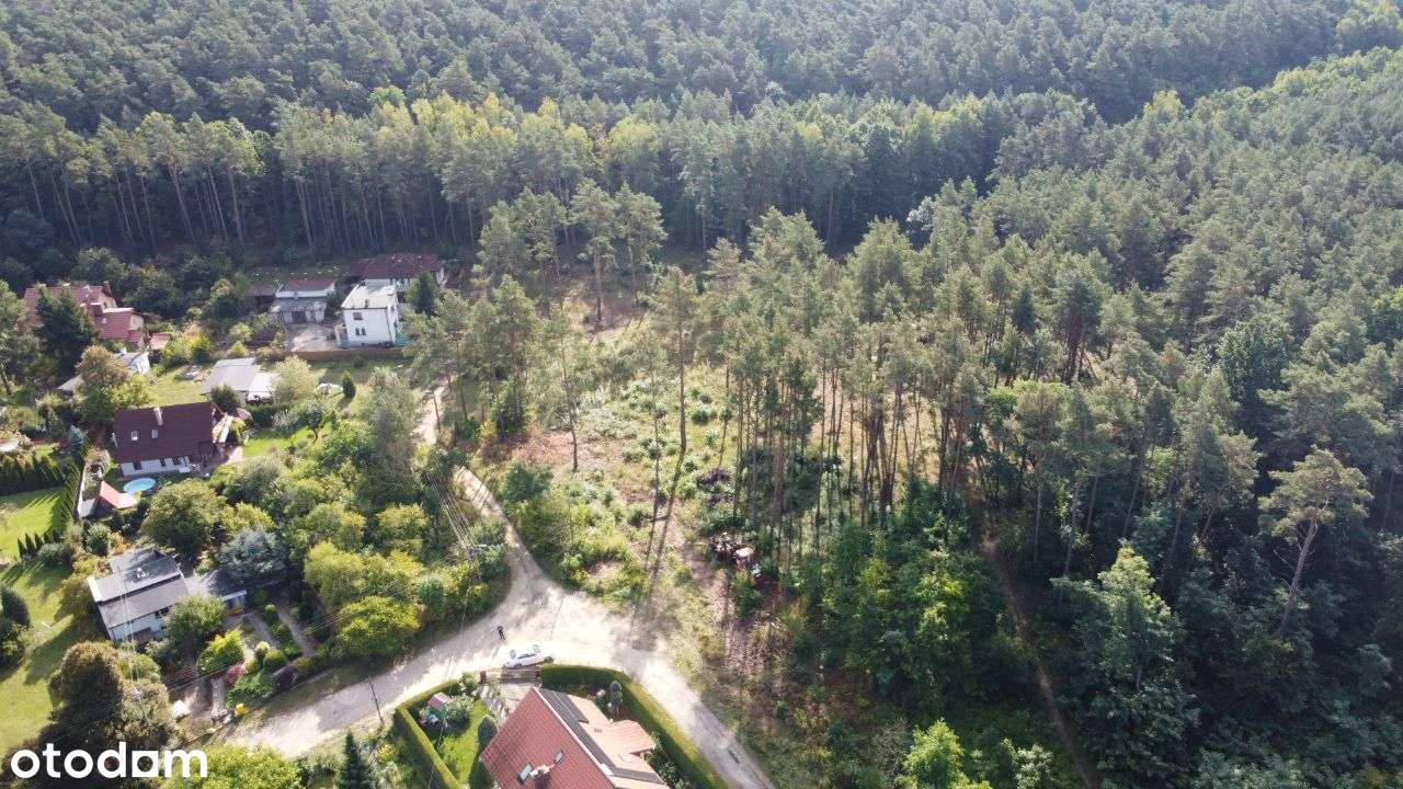 Działka w otoczeniu lasu blisko rzeki - Pełny obrazek: 4/6