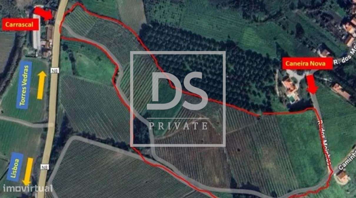 TERRENO RÚSTICO COM EXCELENTE LOCALIZAÇÃO EM AZUEIRA - CONSELHO DE MAF - Grande imagem: 4/8