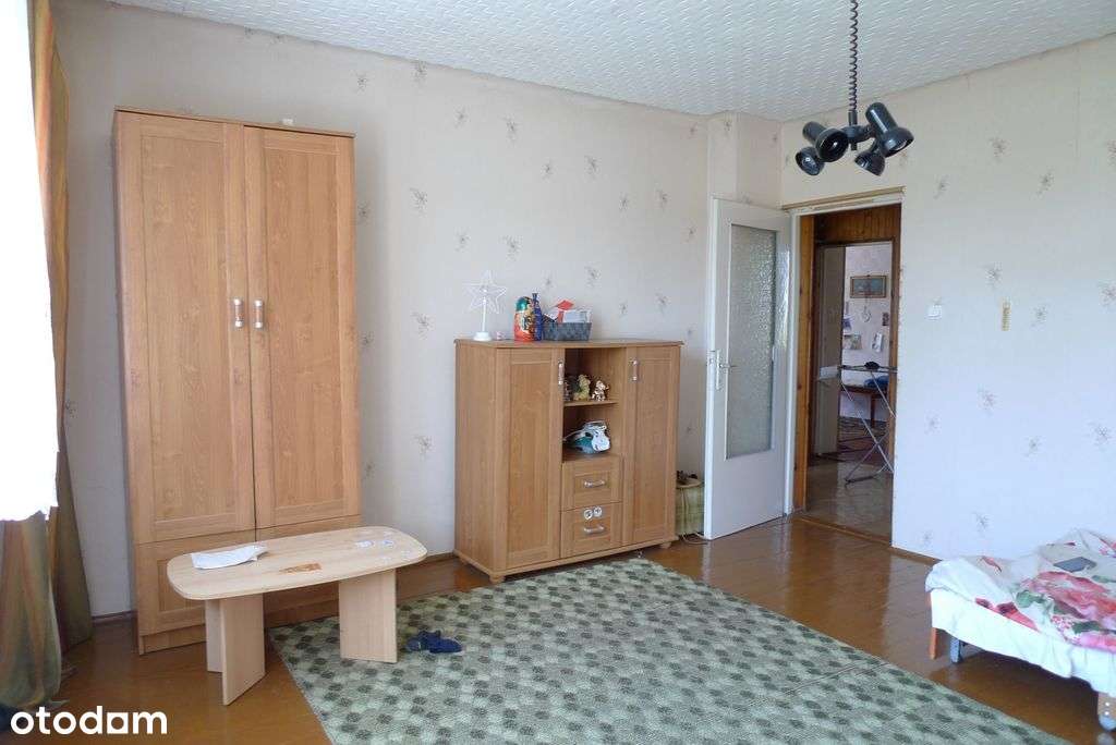 siedlisko, prawie 1 ha ziemi, w pięknym otoczeniu!-3