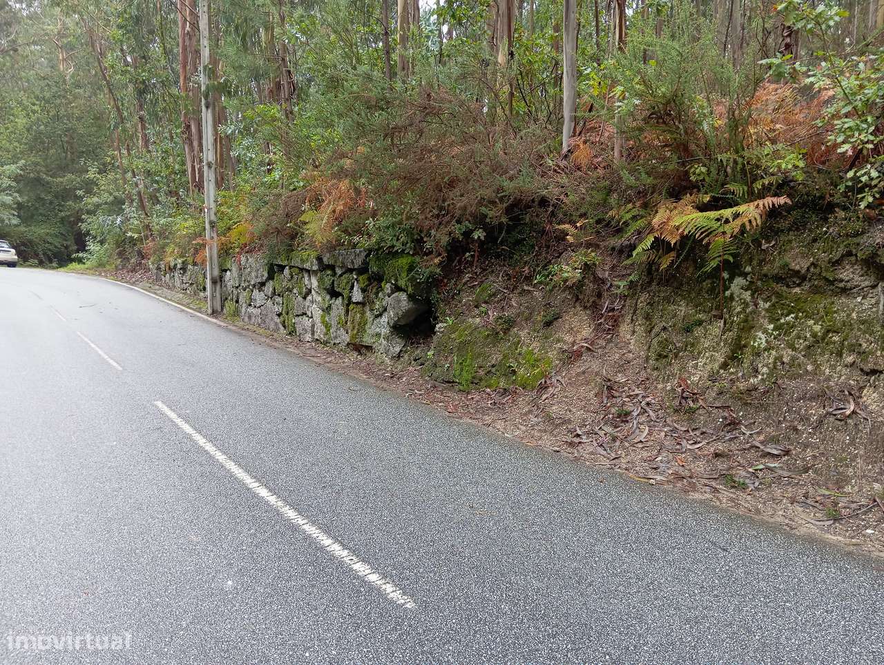 Terreno em Ribeiros, Fafe - Grande imagem: 5/8