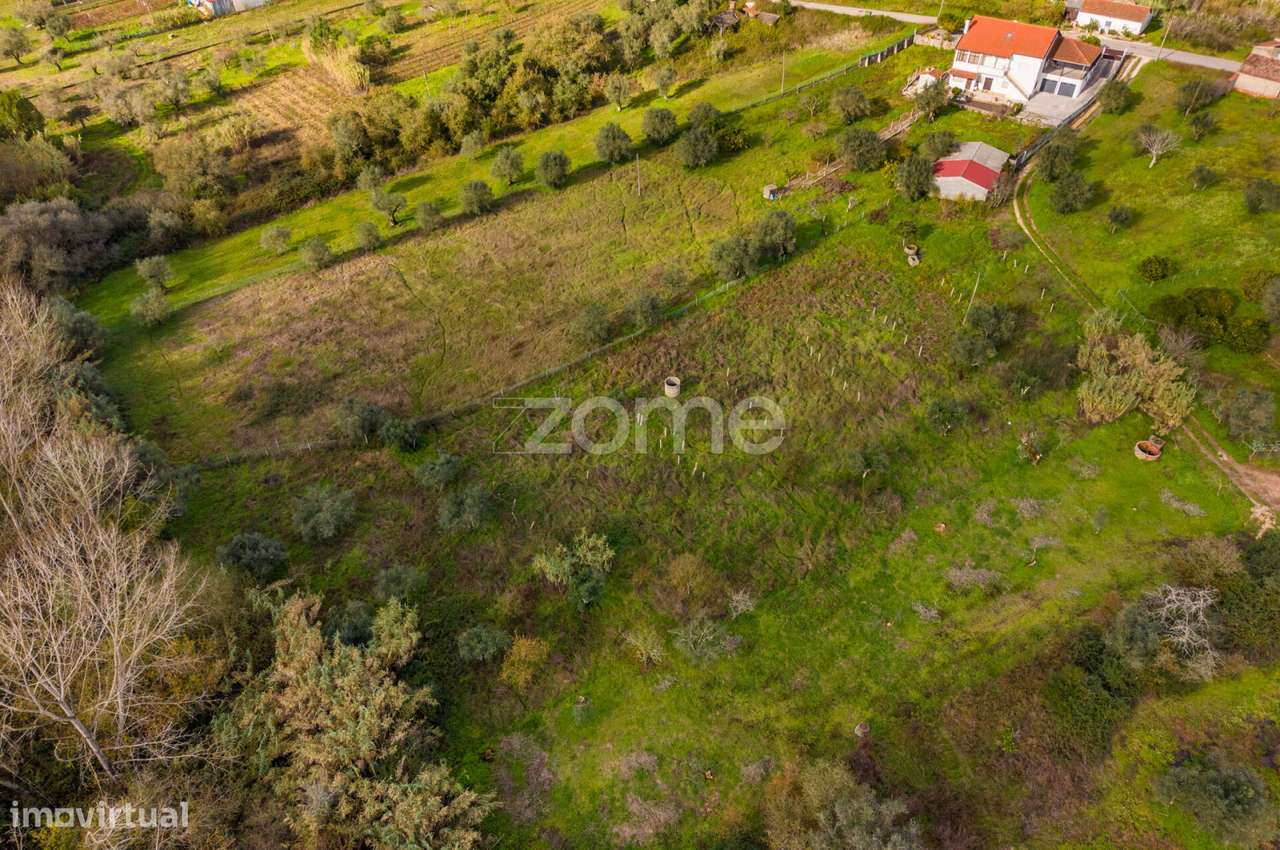 Terrenos Rústicos | Pelariga, Pombal - Grande imagem: 3/36