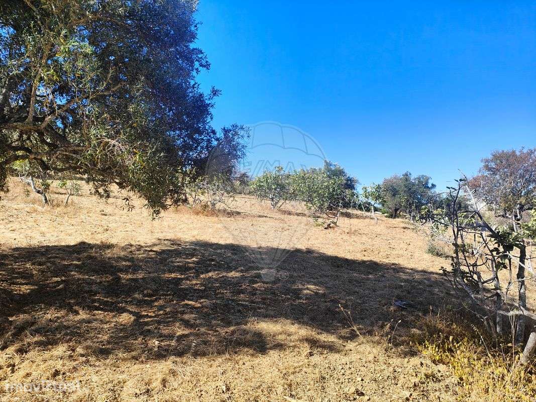 Terreno  para venda - Grande imagem: 2/12