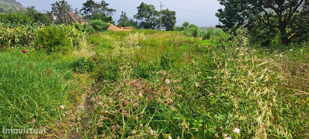 Tereno no Faial, Concelho de Santana - Grande imagem: 4/9