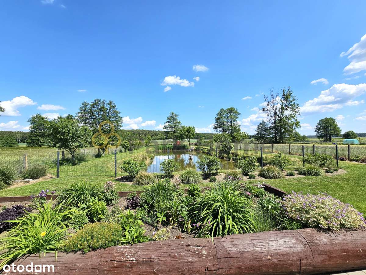 Świetna oferta - 2 domy i staw ! Błażejewo /Dolsk - Pełny obrazek: 5/20