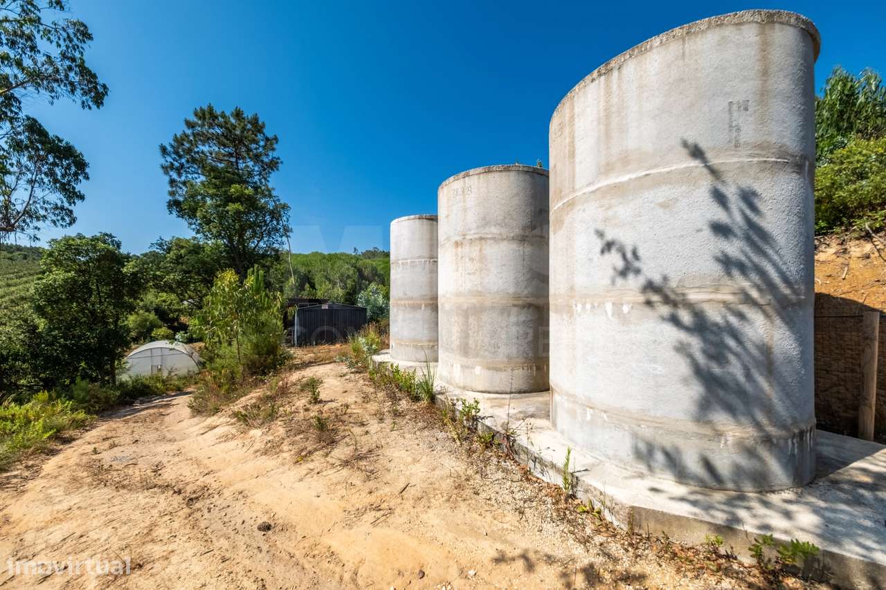 Terreno Agrícola na Fanadia | 16.100 m² de Potencial e Infraestrutu...-24