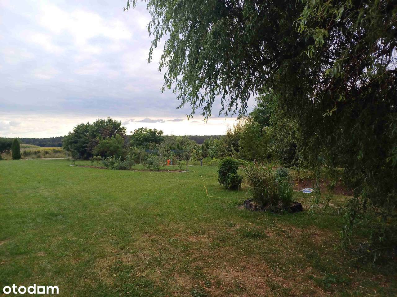 DWA DOMY na dużej działce w Dolinie Baryczy - GOGOŁOWICE-11