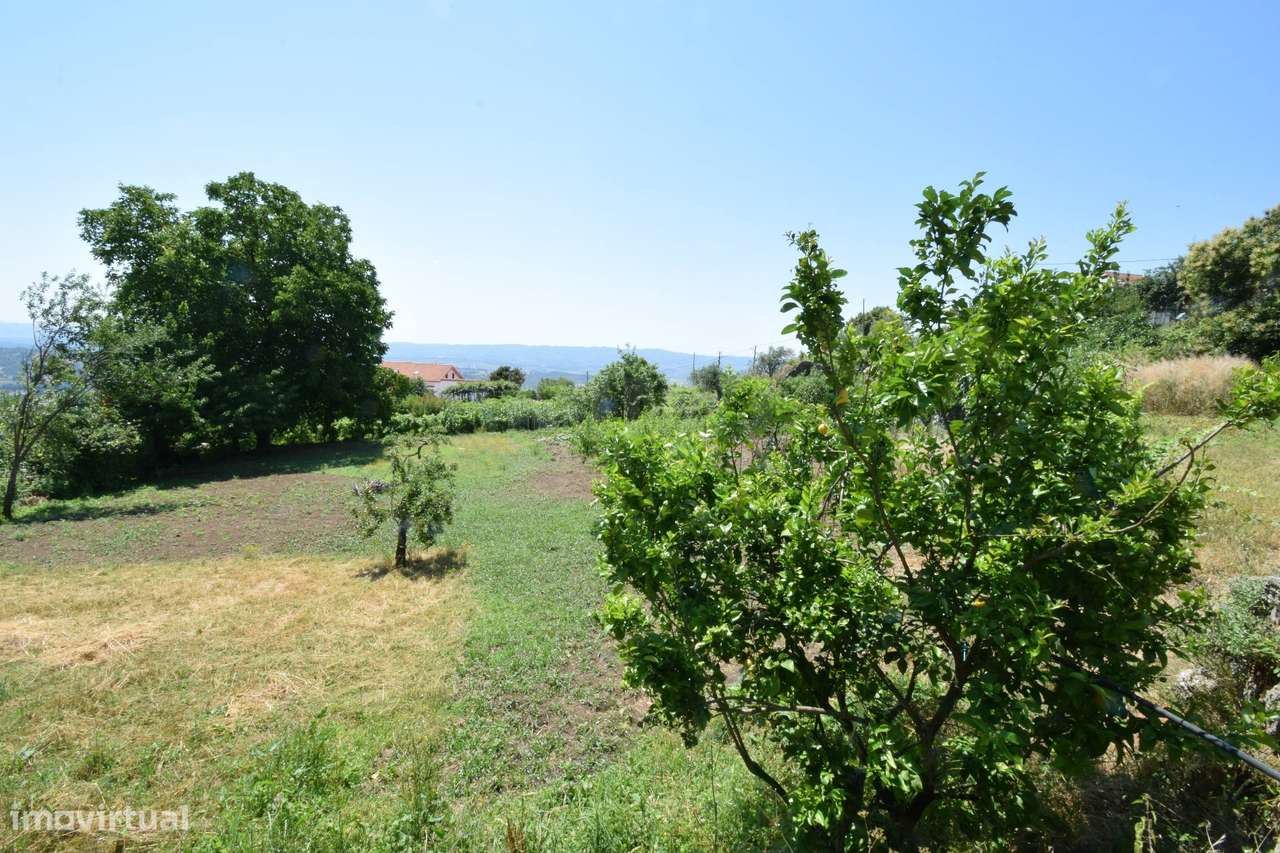 Terreno com 4.522 m² e Viabilidade de Construção - Vila do Carvalho-28
