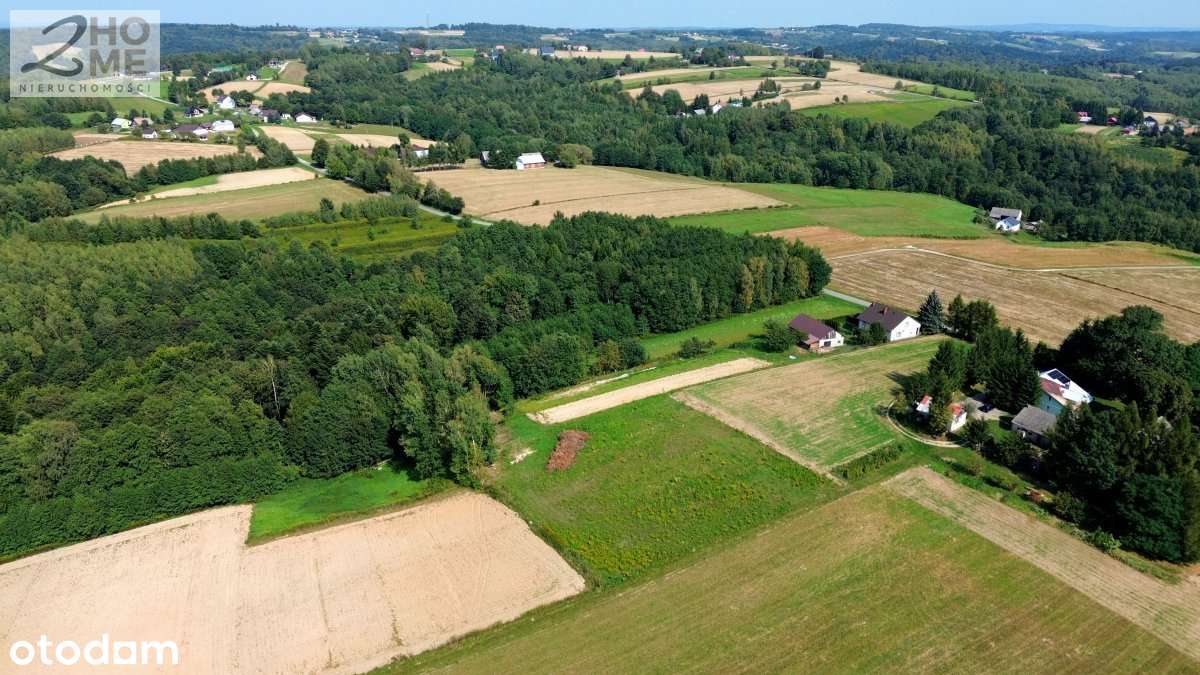 Twój kawałek spokoju - 38 arów w Gębiczynie-6