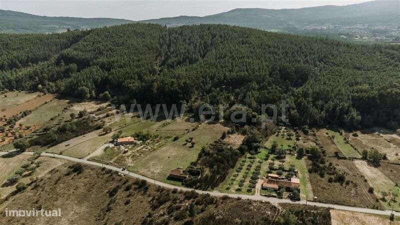 Terreno / Fundão, Enxames - Grande imagem: 3/20