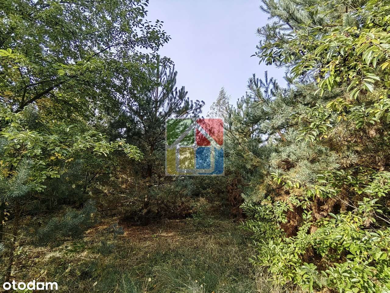 Duża działka budowlana w okolicy jeziora Lucieńskiego - Pełny obrazek: 4/5