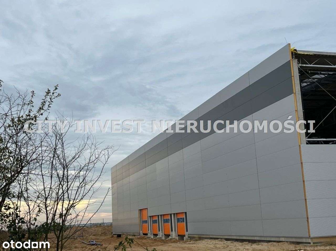 Hala/Magazyn, 5 000 m², Sulechów - Pełny obrazek: 4/5