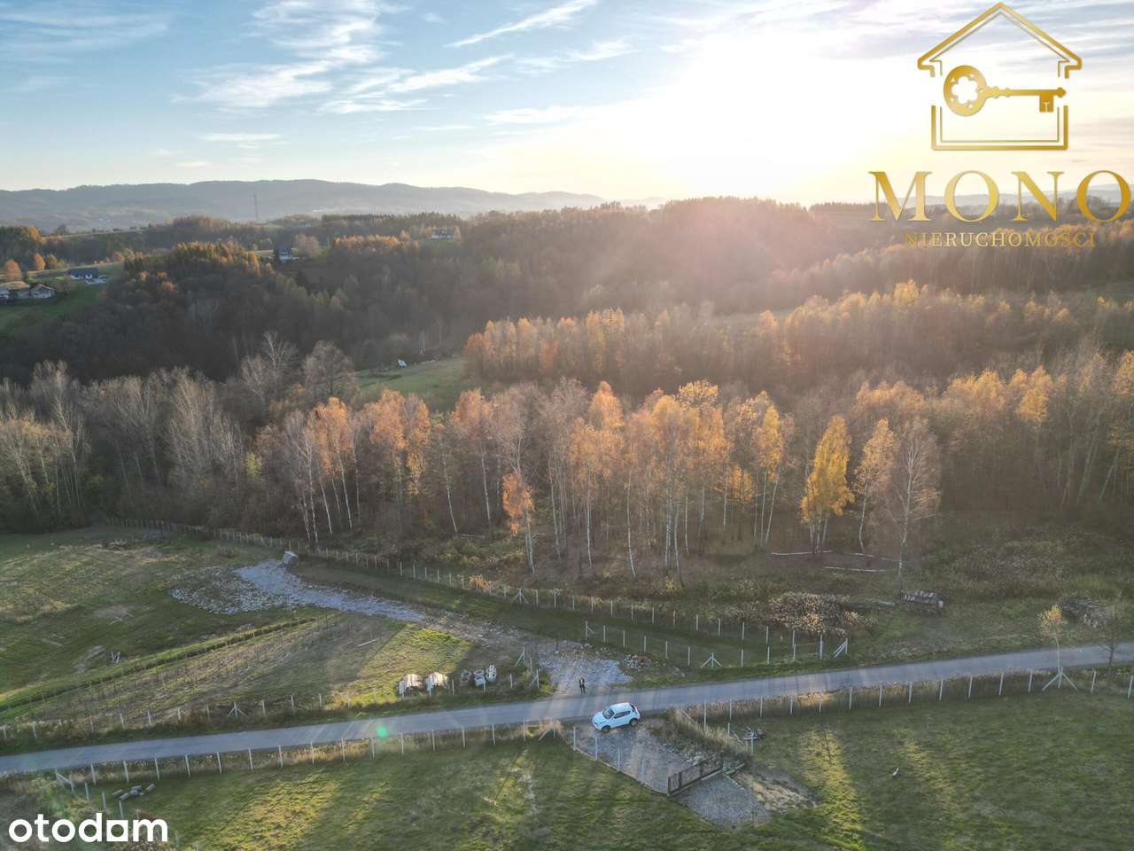 Duża, widokowa działka z lasem na terenie Pogórza Ciężkowickiego - Pełny obrazek: 4/17