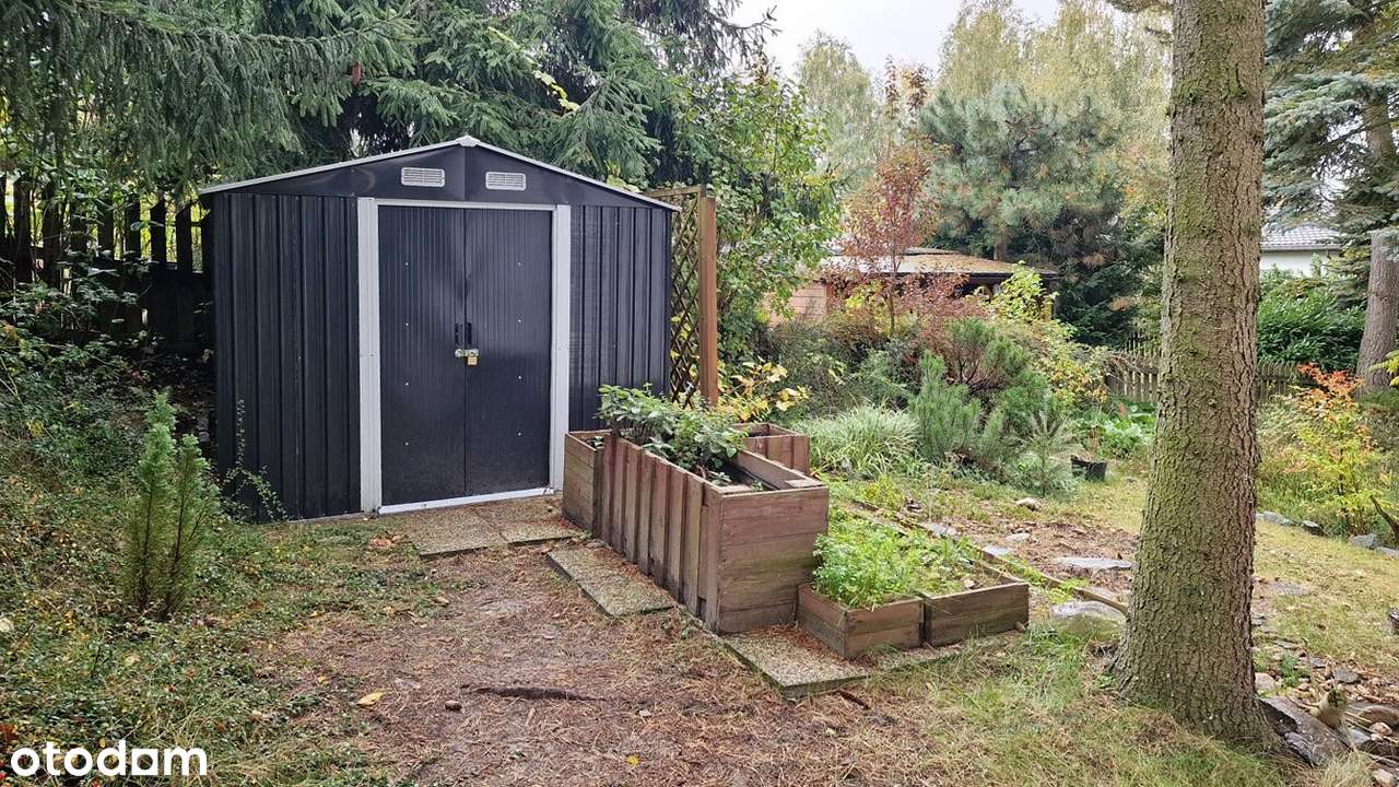 Zabudowa domem działka rekreacyjna /zameldowanie/ - Pełny obrazek: 5/20