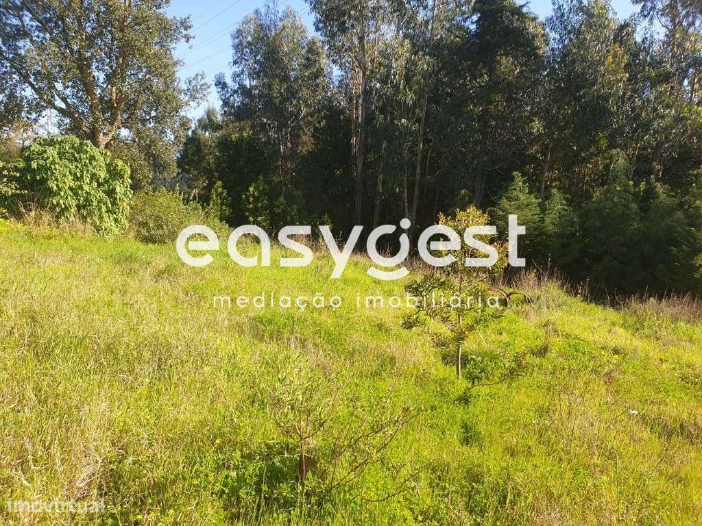 Terreno para Construção/ Espiríto St. das Touregas - Grande imagem: 3/3