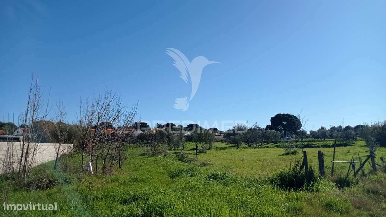 Lote p/ construção 4500 m2, Couço - Grande imagem: 2/3