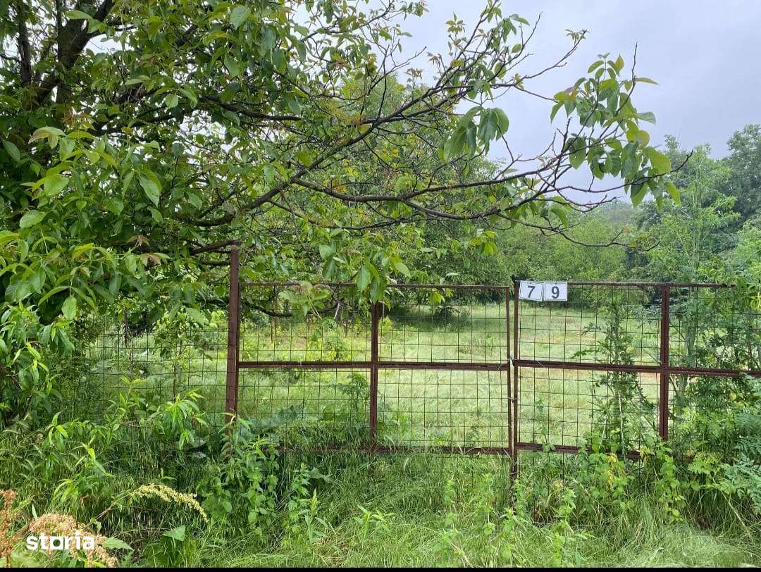 Teren intravilan Frumușani, utilitati gaz si curent, Str Stufului-0