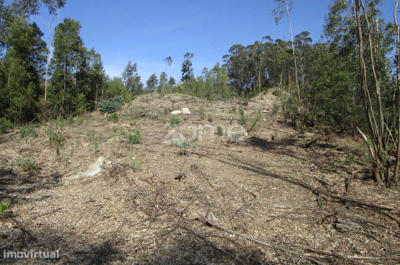 Terreno misto com 13.800 M2 em Guilhabreu V do Conde -Porto - Grande imagem: 4/15