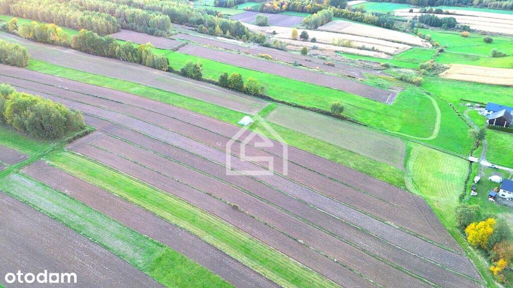 Działka rolna - Królówka - Pełny obrazek: 5/6