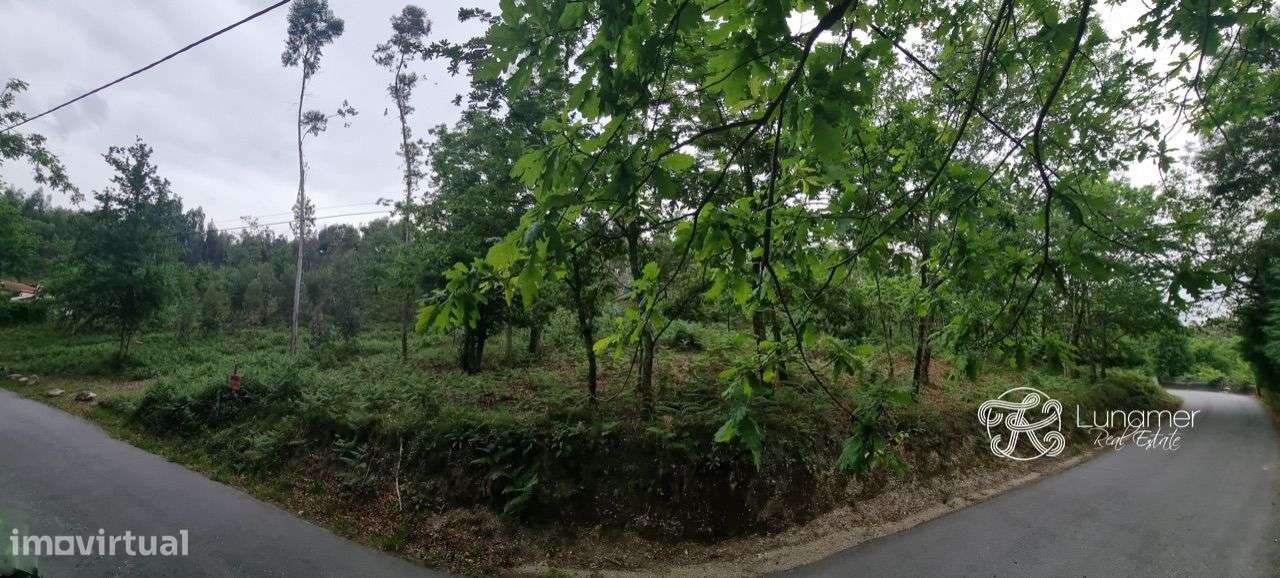 Terreno em para construir em Sanguinhedo - Grande imagem: 2/7