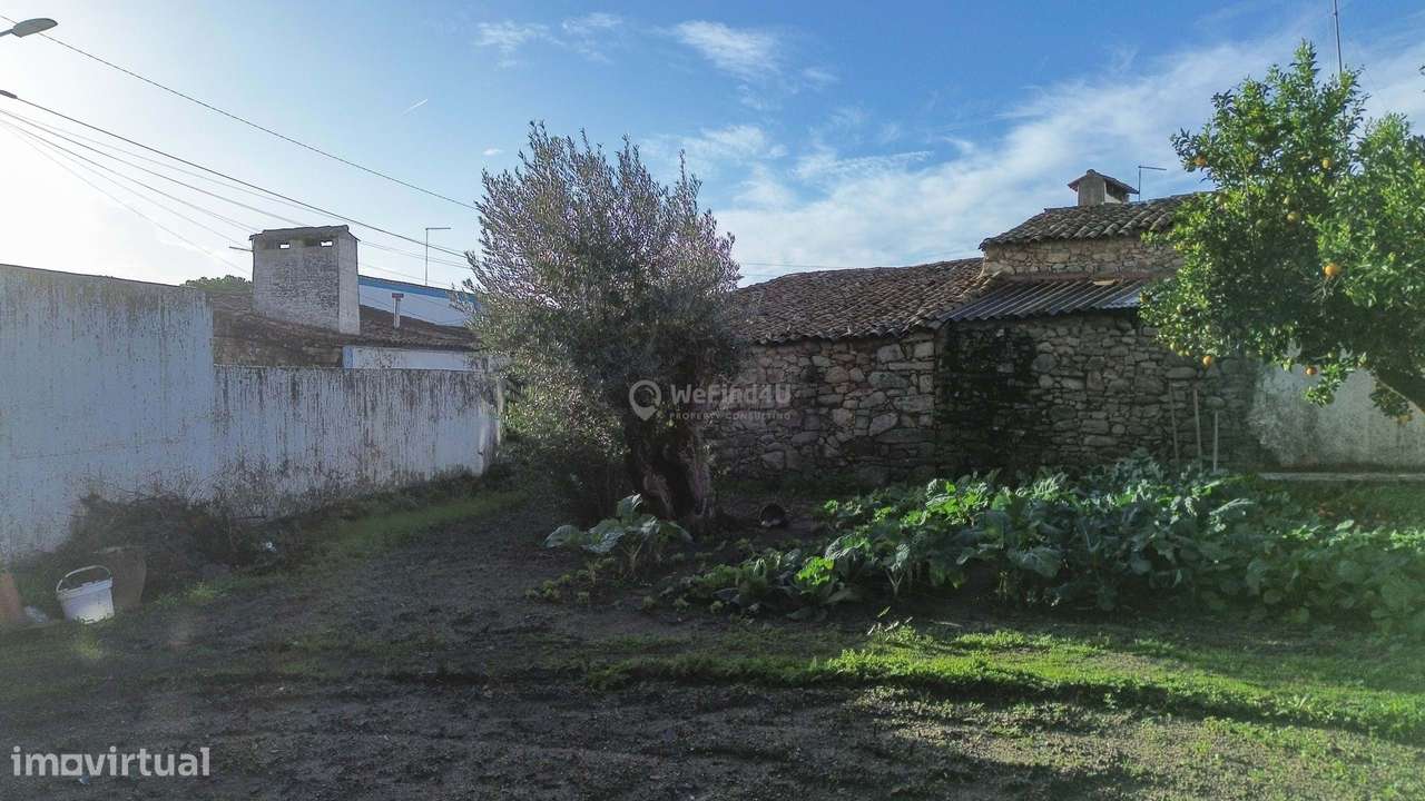 Moradia T3 habitável c/ Quintal e Enorme Potencial de Transformação –-50