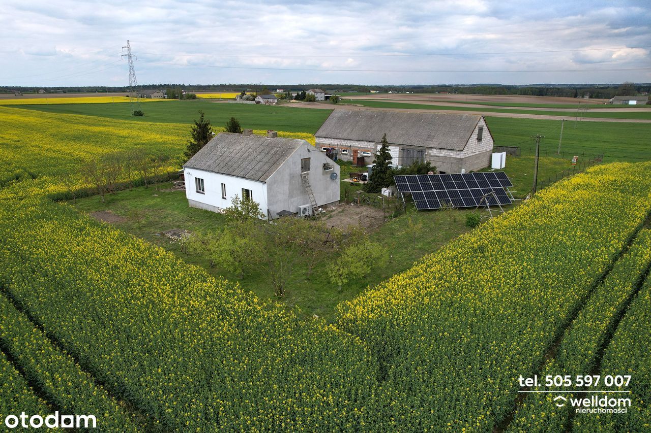 Na sprzedaż dom 100 m2 z działką 1210m2 - Długie