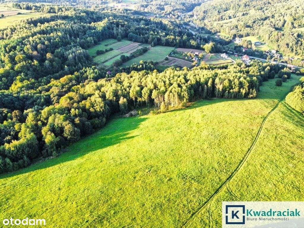 Działka w Lutczy idealna pod Inwestycję – 4,48 ha-3