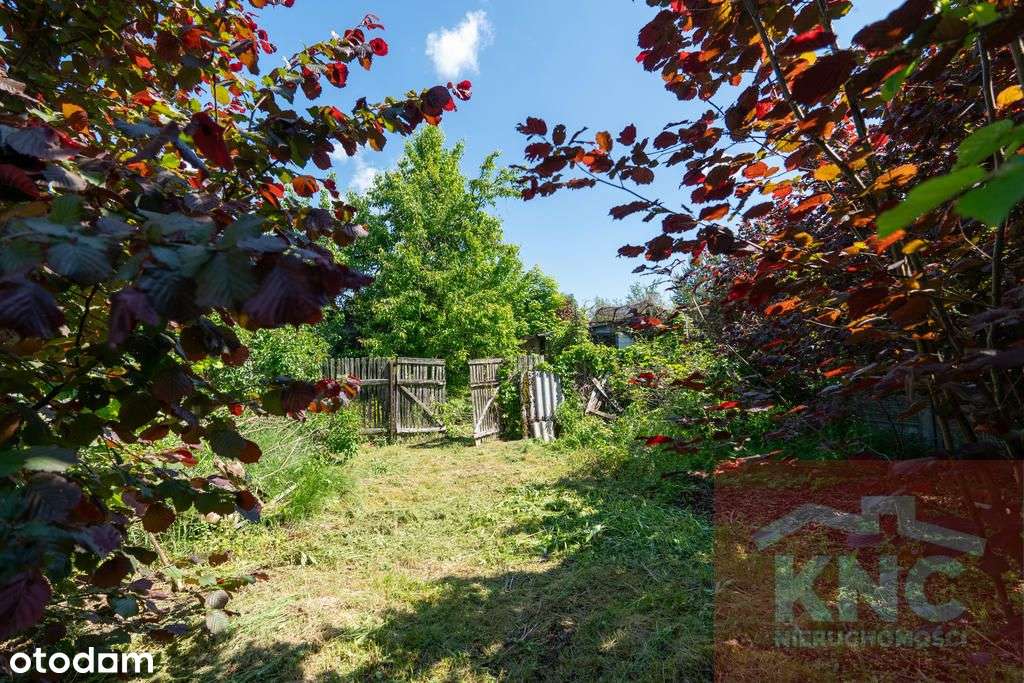 Dom w cenie kawalerki, działka 1943 m2-11