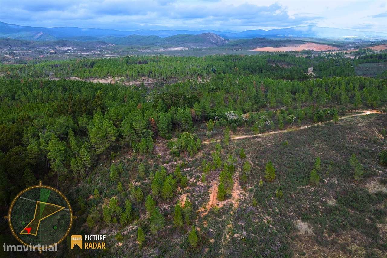 Terreno 1ha | Vistas de Vale | Salgueiro do Campo, PT-25