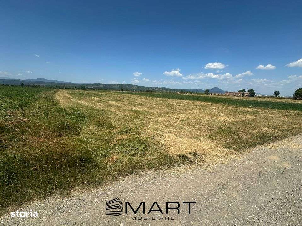 Teren 5000 mp Glajerie, zona Rasnov - Imagine principală: 4/7