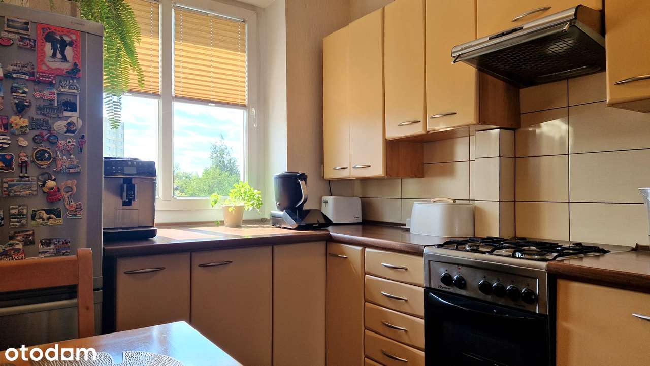 Atrakcyjne, bardzo zadbane 2 pokoje 47,1 m2, piwnica, Wilczak-17