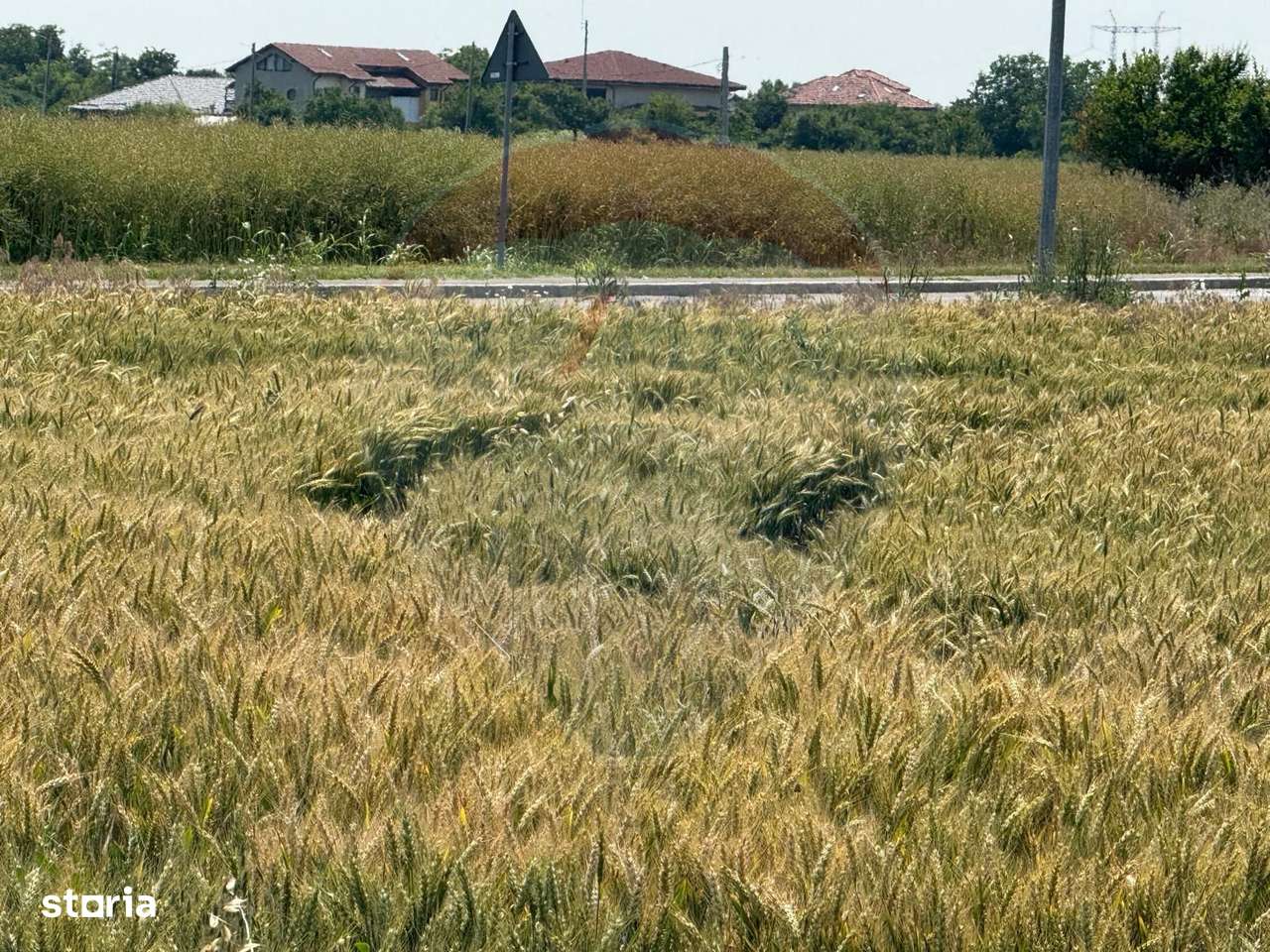 Teren ideal pentru dezvoltare mixta acces A0, Vadul Anei/ Branesti - Imagine principală: 4/7