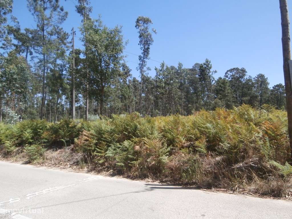 Terreno(s) para construção em Recardães (venda judicial - verba n.º... - Grande imagem: 4/8