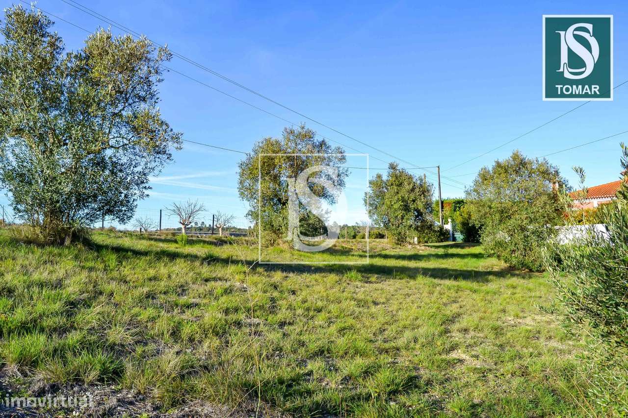 Terreno  Venda em Tomar (São João Baptista) e Santa Maria dos Olivais,-17