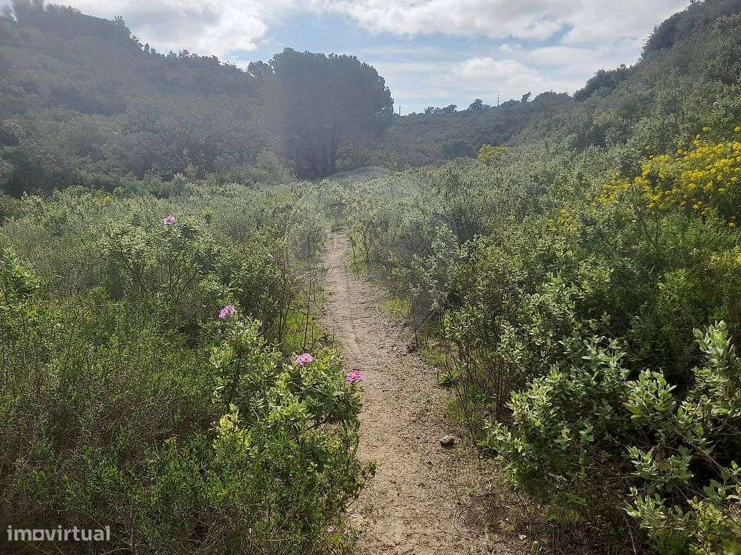 Terreno  para venda - Grande imagem: 2/12