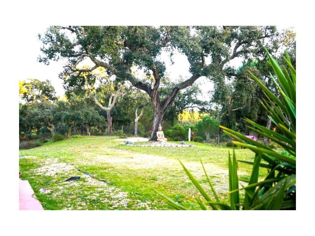 Monte Alentejano com 8,2 Hectares - Um Paraíso de Natureza e Sereni...-15