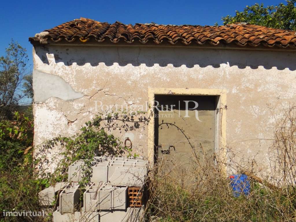 Quintinha com 2ha com casa para recuperar em Portalegre - Grande imagem: 5/17