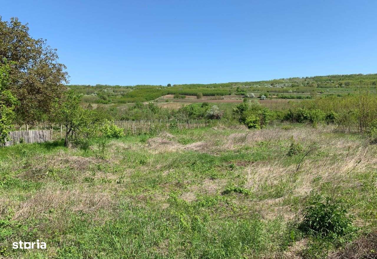 59.900 e Teren TOMESTI-OSOI la DN 2600 mp intravilan asfalt utilitati - Imagine principală: 4/9