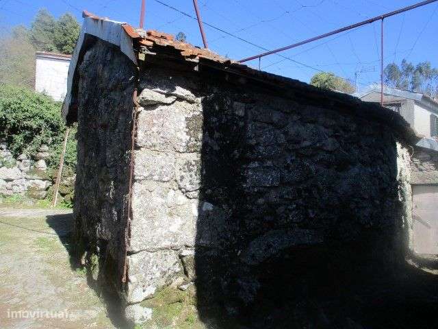 Quintinha para restauro em Ribeiros, Fafe - Grande imagem: 3/30