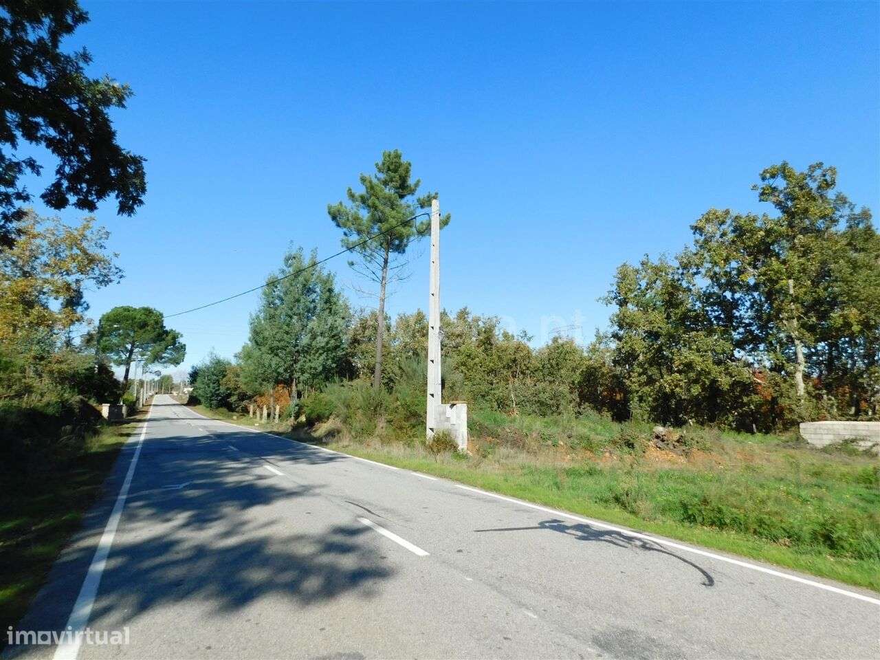 Terreno Rústico / Seia, Santiago - Grande imagem: 5/5