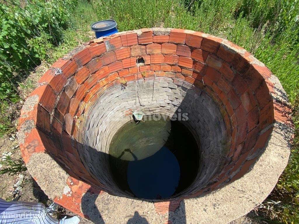 Terreno Rústico com Vinha - Charneca do Maxial, Tomar - Grande imagem: 5/18