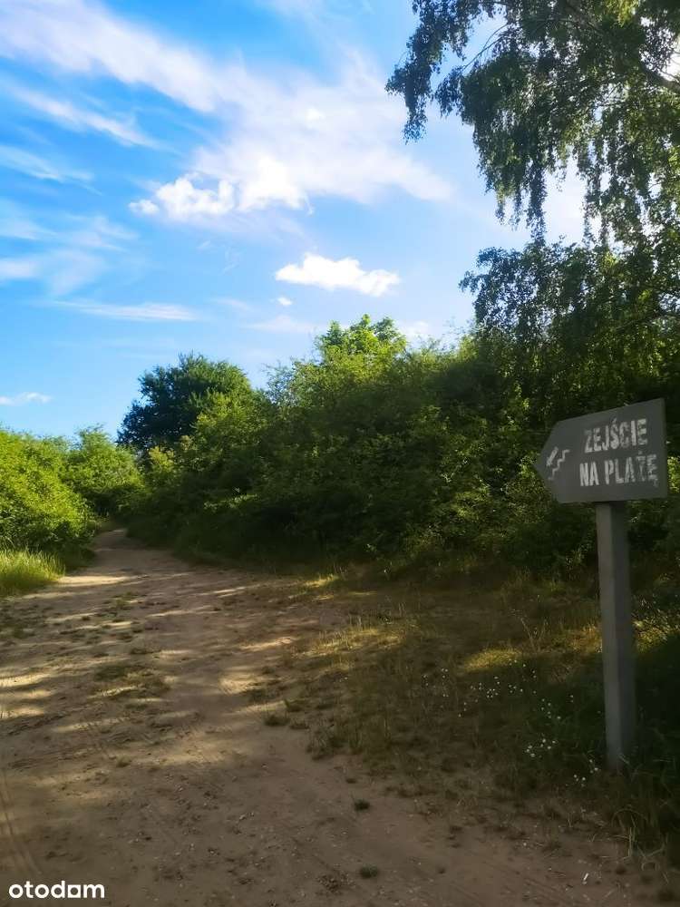 Piękna działka przy lesie i plaży-7