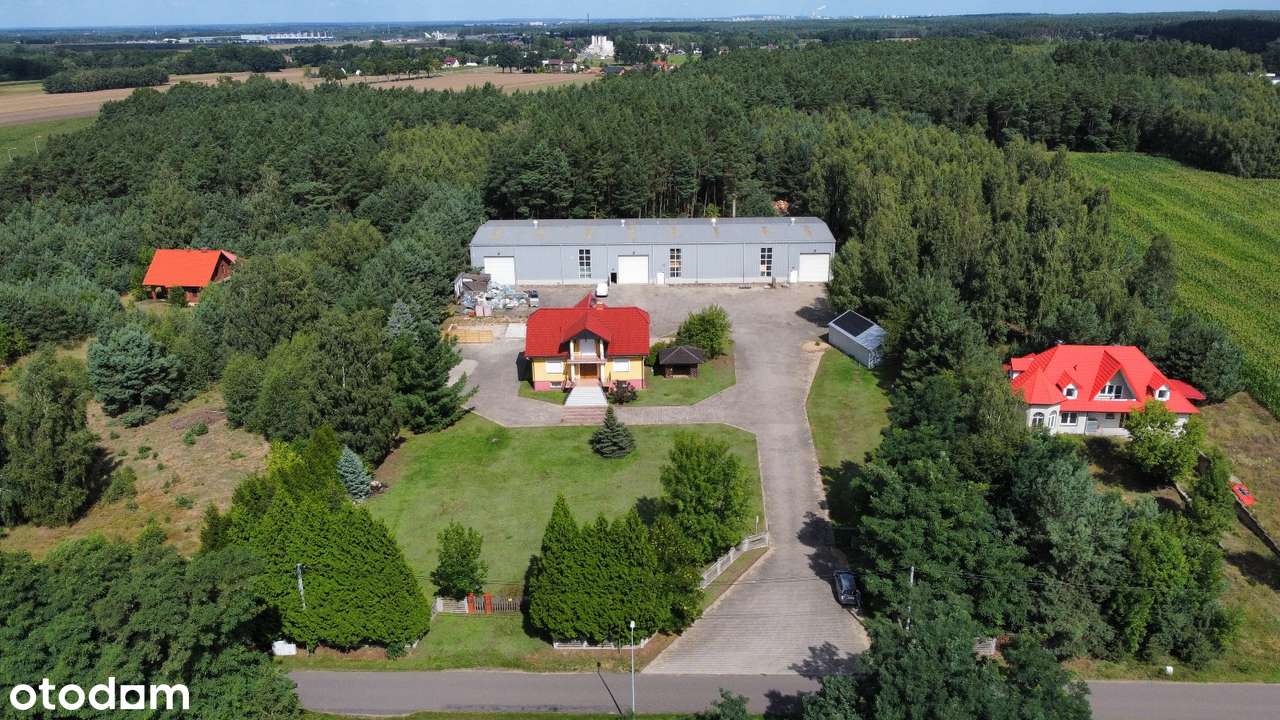 Sprzedam duży dom z halą produkcyjną i własnym lasem -Żdżary - Pełny obrazek: 4/20