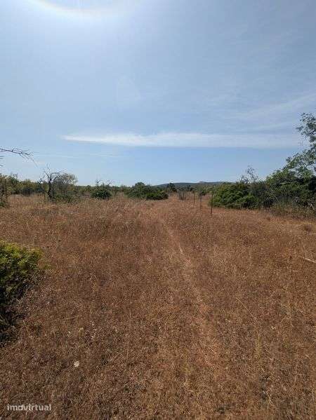 Terreno rústico com electricidade - Grande imagem: 4/6