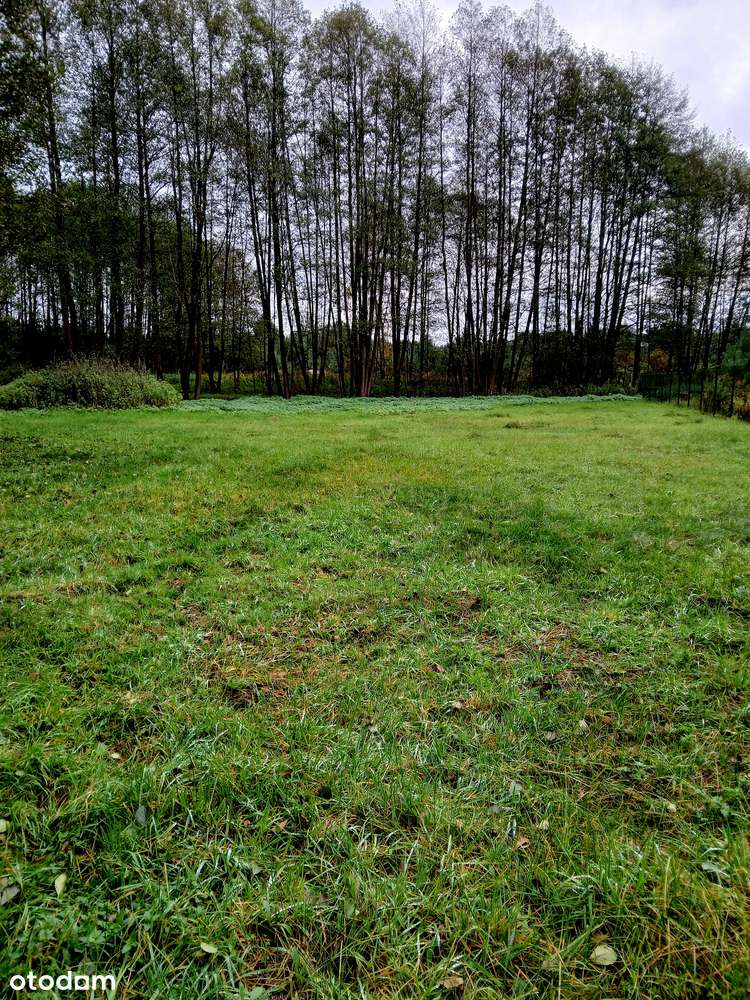 Działka rekreacyjna 2881 m² w otoczeniu natury - Pełny obrazek: 3/9