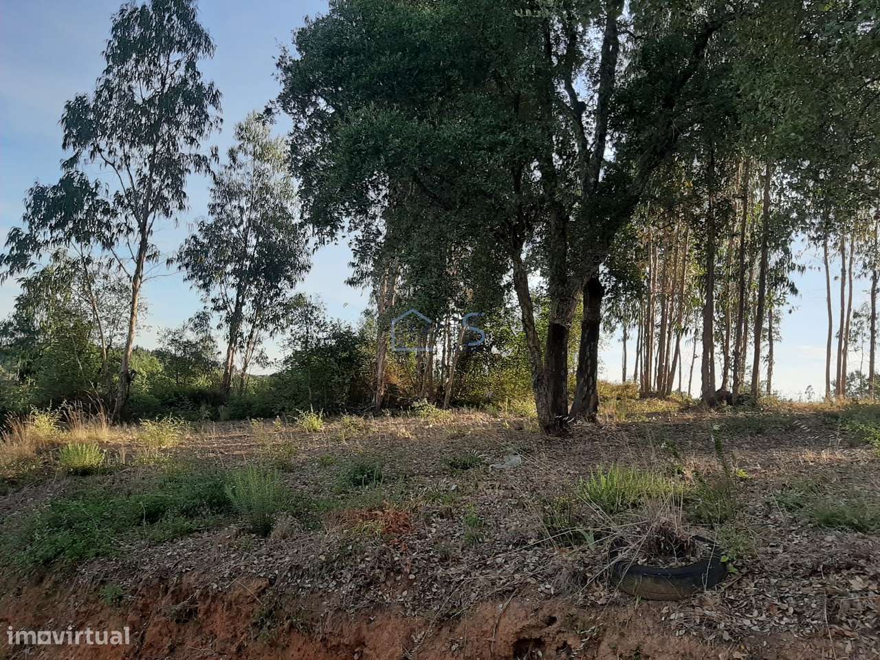 Terreno com Projeto Aprovado para Moradia em Besteiras – Águas Belas-28